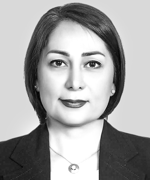 Leila Nafarieh, Board of Advisors